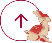 ページトップ