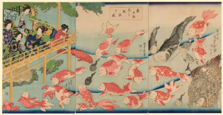 鯉-768x398